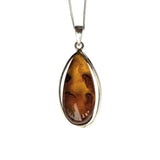 Nectar Amber Silver Pendant and Chain