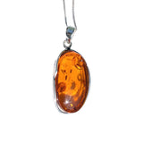 Apis Amber Silver Pendant and Chain