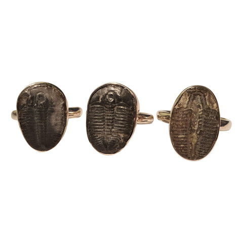 Trilobite Fossil Silver Rings