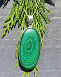 Concentric Malachite Silver Pendant and Chain