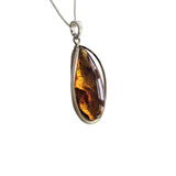 Nectar Amber Silver Pendant and Chain