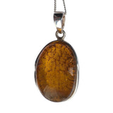 Hanten Amber Silver Pendant and Chain