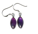 Losan Amethyst Silver earrings
