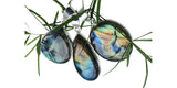 Dawn Labradorite Silver Pendant and chain