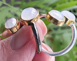 Gold Trimmed Double Moonstone Rings